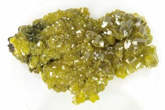 Lustrous Forest-Green Pyromorphite Crystal Cluster - China #260962