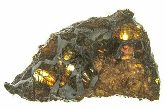Polished Admire Pallasite Meteorite ( g) Slice - Kansas #261218