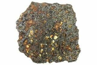 Polished Admire Pallasite Meteorite ( g) Slice - Kansas #261238