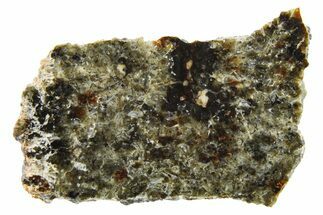 Polished Martian Meteorite Slice ( g) - NWA #262789