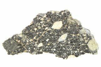 Polished Lunar Meteorite Slice ( g) - NWA #262883
