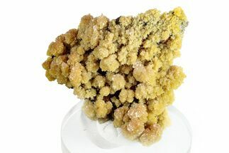 Mimetite Crystal Clusters on Limonitic Matrix - Mexico #261950