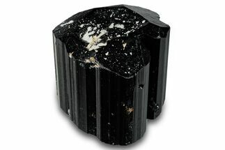 Terminated Black Tourmaline (Schorl) Crystal - Madagascar #261775