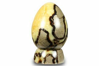 Polished Septarian Egg with Stand - Madagascar #260948