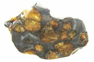 Brenham Pallasite Meteorite ( g) Slice - Kansas #263131
