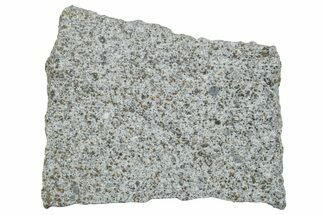 El Hammami Chondrite Meteorite Slice ( g) - Mauritania #263183
