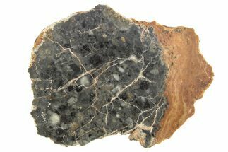 Polished Lunar Meteorite Slice ( g) - NWA #263233