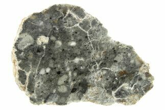 Polished Lunar Meteorite Section ( g) - NWA #263239