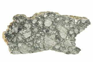 Polished Apollo Lunar Meteorite Slice ( g) - Gadamis #263242