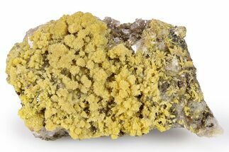 Mimetite Crystal Clusters on Limonitic Matrix - Mexico #261951