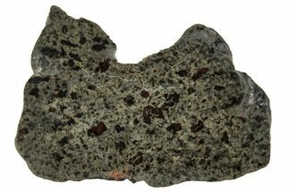 Polished Martian Meteorite Slice ( g) - Amgala #263248