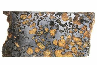 Seymchan Pallasite Meteorite Slice ( g) - Russia #263200