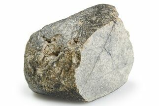 Unclassified Eucrite Meteorite ( g) - From Vesta #263812