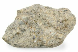 Lunar Meteorite ( g) - NWA #263818