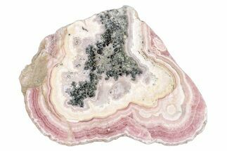 Polished Banded Rhodochrosite Slab - Argentina #264704