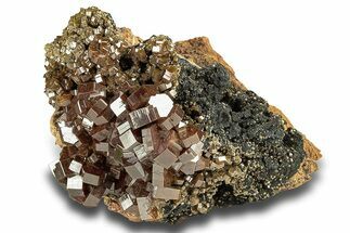 Deep Red Vanadinite Crystal Cluster (Large Crystals) - Morocco #258034