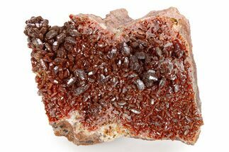 Glittering, Ruby Red Vanadinite Crystals on Barite - Morocco #255555