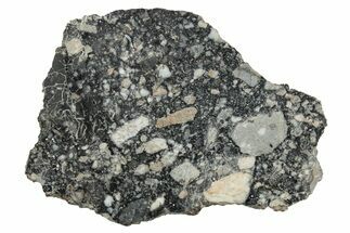Lunar Meteorite Slice ( g) - NWA Paired Stone #264746
