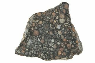 Chondrite Meteorite Section ( g) - NWA #264932