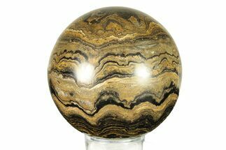 Polished Stromatolite (Greysonia) Sphere - Bolivia #264435