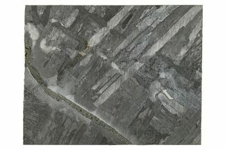 Etched Seymchan Meteorite Slice ( g) - Russia #264999