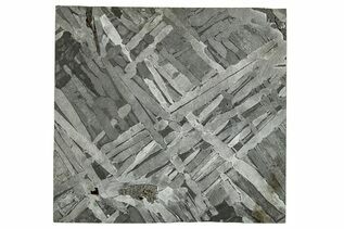 Seymchan Pallasites For Sale