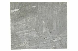 Seymchan Pallasites For Sale