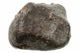 Chondrite Meteorite Fragment ( g) - NWA #265872