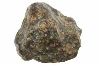 Carbonaceous Chondrite Meteorite ( g) Section - NWA #265947