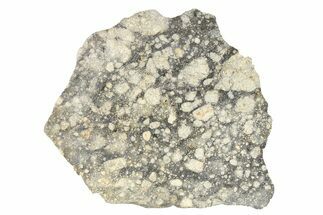Eucrite Meteorite ( g) Slice - From Vesta Minor-Planet #266434