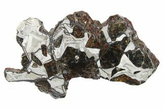 Pallasite Meteorite ( g) End Cut - NWA #266446