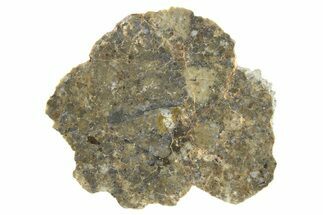 Polished Lunar Meteorite Slice ( g) - Laayoune #266504