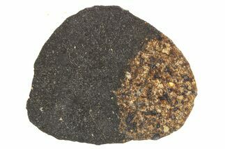 L Melt Braccia Chondrite Meteorite ( g) - Unclassified NWA #266633