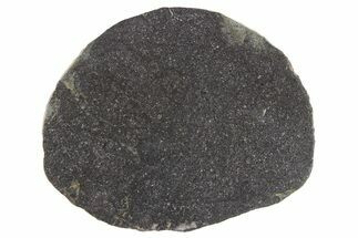 H Melt Breccia Chondrite Meteorite ( g) - NWA #266670