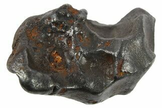 Sikhote-Alin Iron Meteorite ( g) - Regmaglypts! #266711