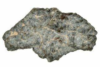Polished Lunar Meteorite ( g) - Laayoune #266579