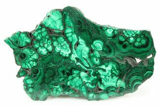 Flowery Polished Malachite Slab - DR Congo #266803