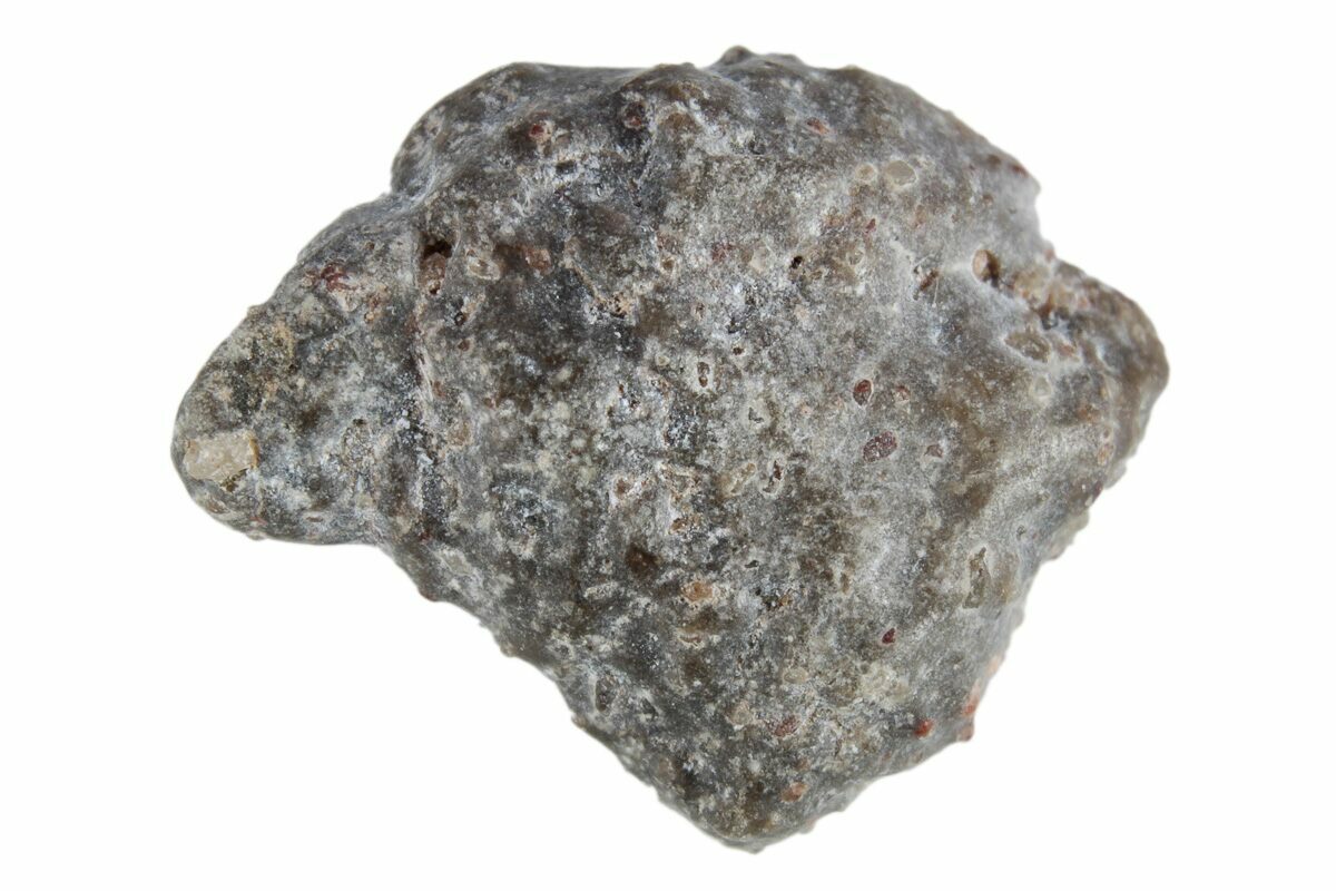 https://assets2.fossilera.com/sp/682364/lunar-meteorites/lunar-feldspathic-breccia.jpg