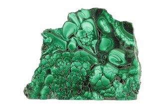 Flowery Polished Malachite Slab - DR Congo #266808