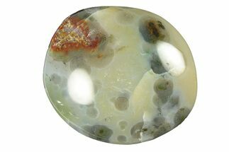 Polished Ocean Jasper Stone - New Deposit #261270