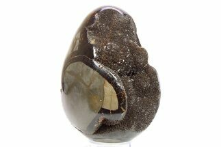 Septarian Dragon Egg Geode - Black Crystals #267336