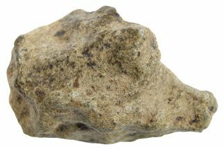 Martian Shergottite Meteorite ( g) - Amgala #268596