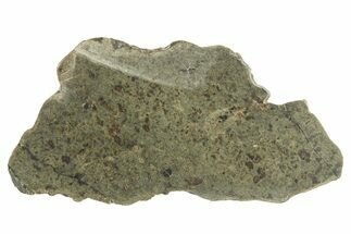 Martian Shergottite Meteorite ( g) Slice - Amgala #268612