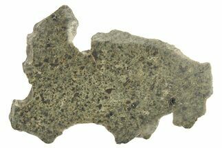 Martian Shergottite Meteorite ( g) Slice - Amgala #268614