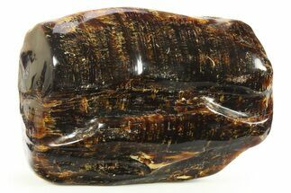 Piece Of Polished Indonesian Amber - Massive! #244154