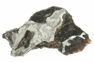 Pallasite Meteorite ( g) Slice - NWA #269630