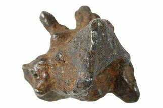 Sericho Pallasite Meteorite ( g) Metal Skeleton #267112