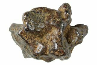 Sericho Pallasite Meteorite ( g) Metal Skeleton #267123