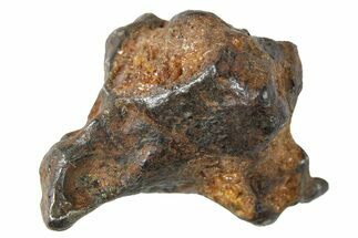 Sericho Pallasite Meteorite ( g) Metal Skeleton #267125