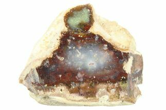 Polished Colorful Agate Section - Java, Indonesia #271519